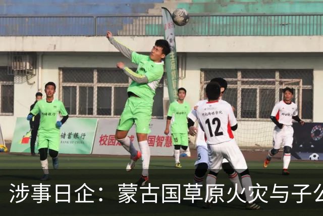 涉事日企:蒙古国草原火灾与子公司高管活动有关